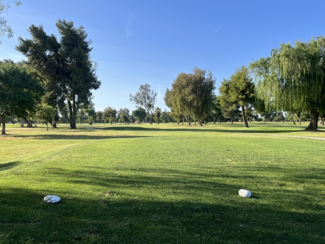 Lemoore-hole-5