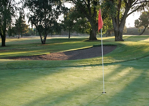 lemoore-hole-4